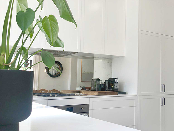 Modern white kitchen with cabinets, a countertop with appliances, and a potted plant in the foreground.