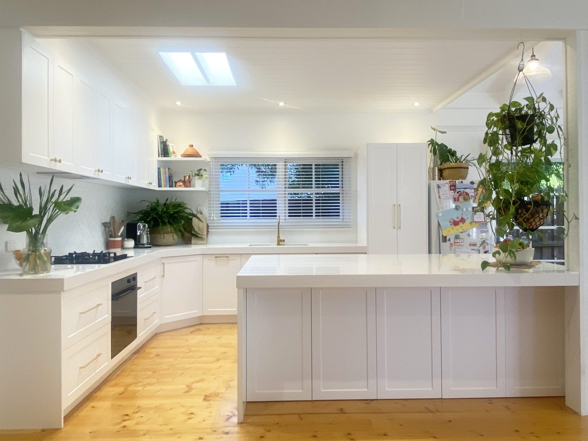 Hector – Carnegie – 06 Mentone